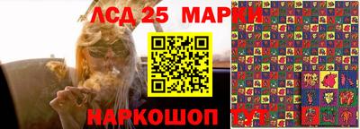 СК Кунгур